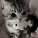 thecatmonkey