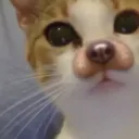 69420th