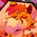 ilkathecheetah