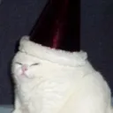 poffyn