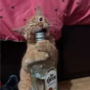 ghostyoff