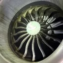 swedishspeedbird