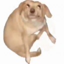 Gabryel