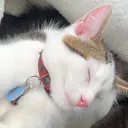 .itsko