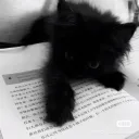 Аватар decay_xd