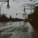 robertzel2
