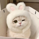 avatar ガブリエラ ᯓ