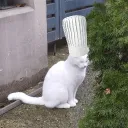 da_boi_69