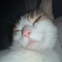 karonketamine