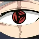 petrovich3239 avatar