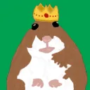 hamster07