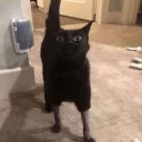 itsizzbee