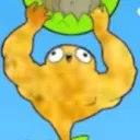 mrcelium