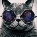 daxthecat