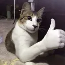 .veio