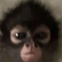 alexseytyryty