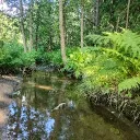 farstream
