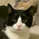 .meowmeow93