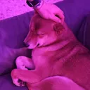 snafu_kh