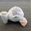 avatar 🎋samisntsouthpaw