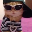 rassytheestallion avatar