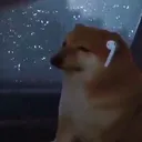 akosibril