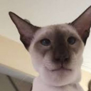 avatar негрыч