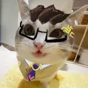 akito_223