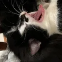 orainfall