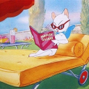 avatar ∆ Robin ᵈᵉˡᵗᵃ