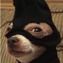 avatar apple._.pie912