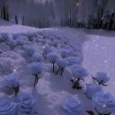 avatar 𝓙 𝐞 𝐥 𝐥 𝐲