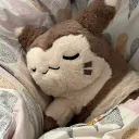 fastasleepfurret
