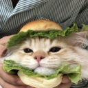 avatar Metal_SoldierX100