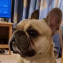 mattshq