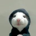 mahdimmz