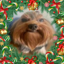 bmc2711#9290's avatar