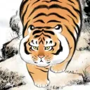 shytiger5