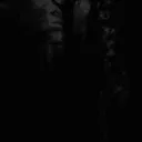 tylertrappax