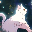 mrmeowz
