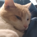 Picksle