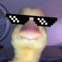 lamaquinat
