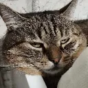 Аватар mr.vasya