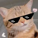 Аватар zeka_808