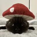 ughlee3