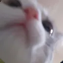 unfocused04yt