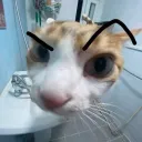 nermon. avatar