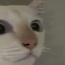 om7589