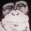 bramkn