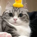 Аватар theunskillplayer